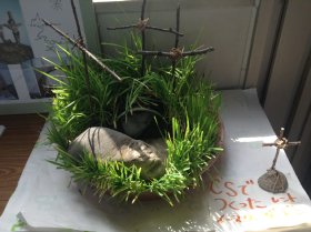 イエスのお墓の石がどけられたことを表したものが飾られていました