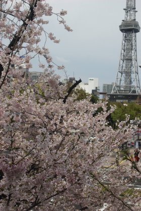 教会からの栄の風景